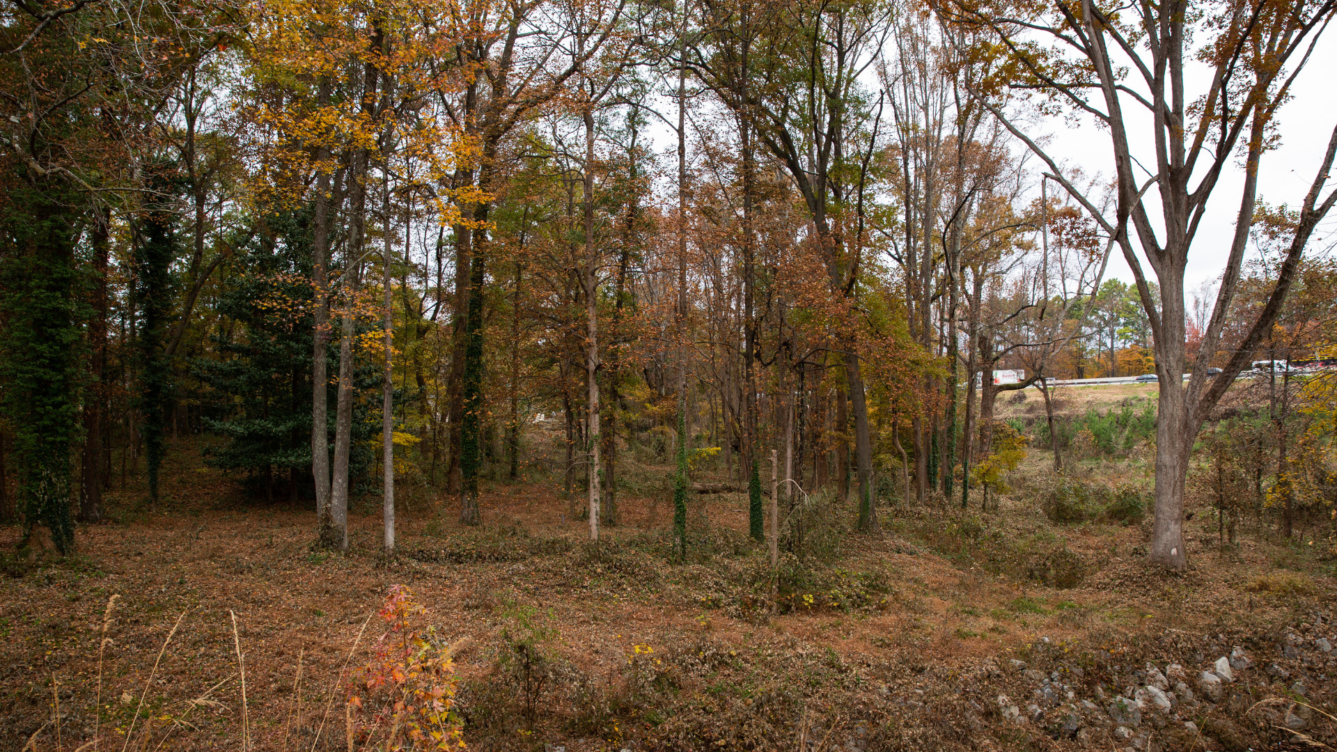 View of Enota Park from the trail corridor.