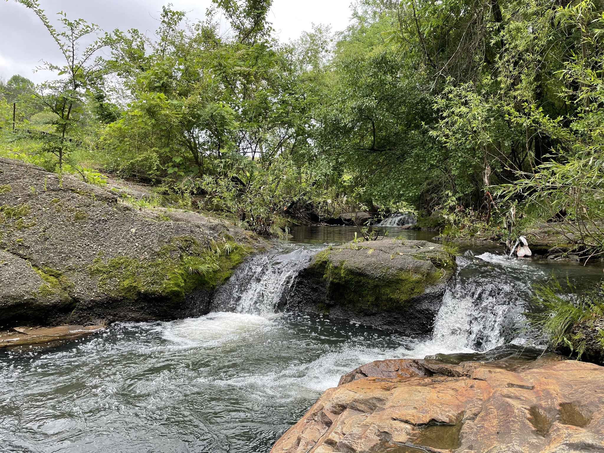 Creek photograph published with the Beltline’s Chappell Road project overview.