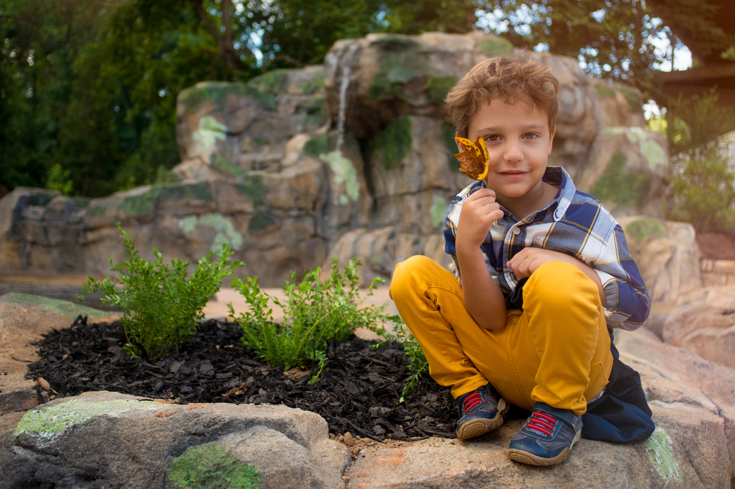 A child sitting on a rock holds a leaf up next to his face. He is surrounded by mossy rocks, green plants, and tall trees.